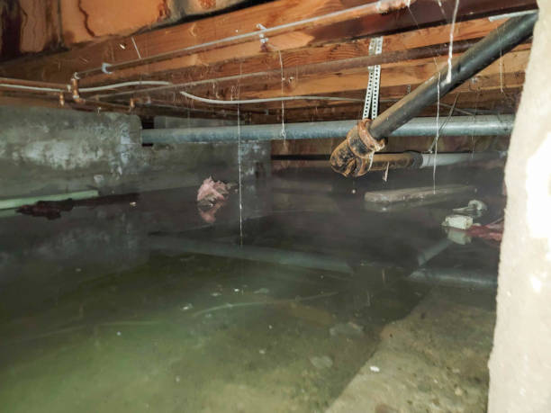 Best Residential water damage restoration  in University Of Virginia, VA