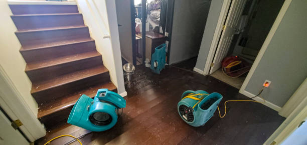 Best Professional water damage repair  in University Of Virginia, VA