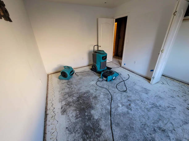 Reliable University Of Virginia, VA Water damage restoration Solutions